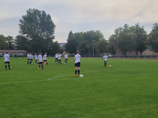 03.10.2023 VfB Gräfenhainichen vs. Piesteritz