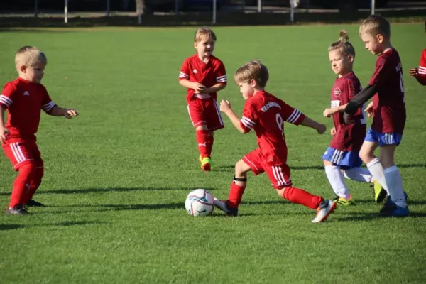 16.09.2023 VfB Gräfenhainichen vs. Bitterfeld-Wolfen