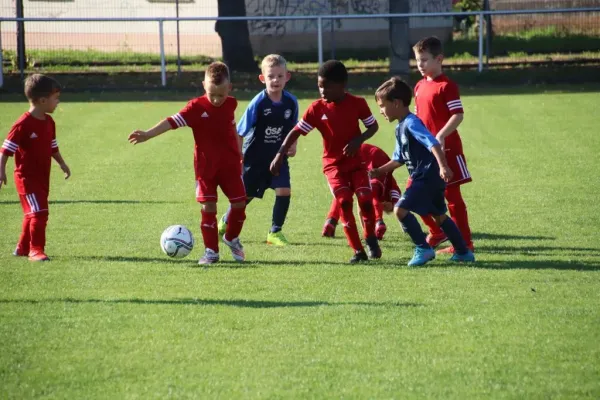 16.09.2023 VfB Gräfenhainichen vs. Bitterfeld-Wolfen