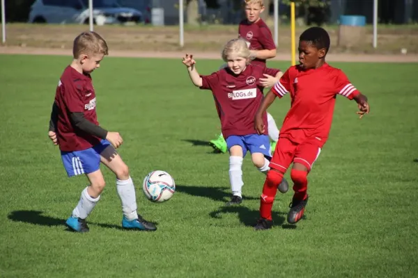 16.09.2023 VfB Gräfenhainichen vs. Bitterfeld-Wolfen