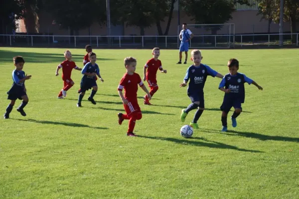 16.09.2023 VfB Gräfenhainichen vs. Bitterfeld-Wolfen