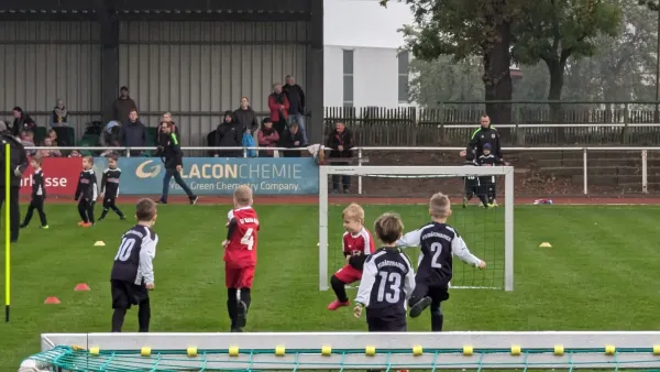 28.10.2023 SV Merseburg 99 e.V. vs. VfB Gräfenhainichen