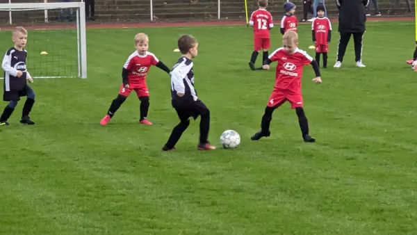 28.10.2023 SV Merseburg 99 e.V. vs. VfB Gräfenhainichen