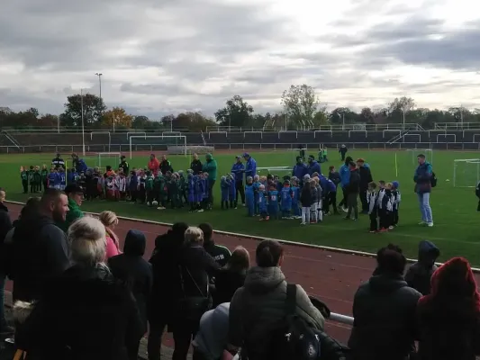 28.10.2023 SV Merseburg 99 e.V. vs. VfB Gräfenhainichen