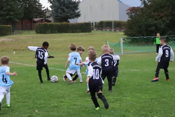 07.10.2023 SG Blau Weiß Dessau vs. VfB Gräfenhainichen