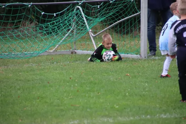 07.10.2023 SG Blau Weiß Dessau vs. VfB Gräfenhainichen