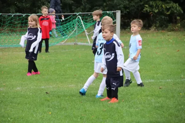 07.10.2023 SG Blau Weiß Dessau vs. VfB Gräfenhainichen