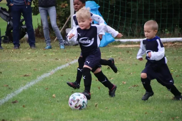 07.10.2023 SG Blau Weiß Dessau vs. VfB Gräfenhainichen