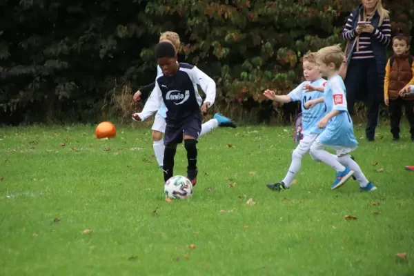 07.10.2023 SG Blau Weiß Dessau vs. VfB Gräfenhainichen