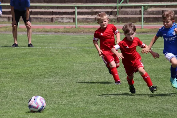08.06.2024 Piesteritz vs. VfB Gräfenhainichen