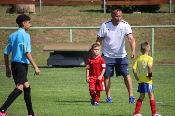 08.06.2024 Piesteritz vs. VfB Gräfenhainichen