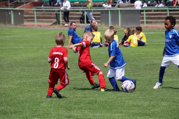 08.06.2024 Piesteritz vs. VfB Gräfenhainichen