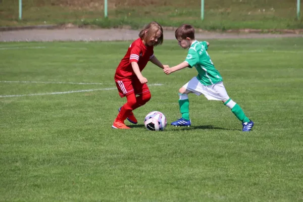 08.06.2024 Piesteritz vs. VfB Gräfenhainichen
