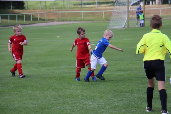08.06.2024 Piesteritz vs. VfB Gräfenhainichen