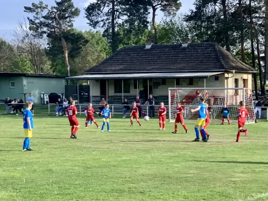 06.05.2024 FSV Bad Schmiedeberg vs. VfB Gräfenhainichen