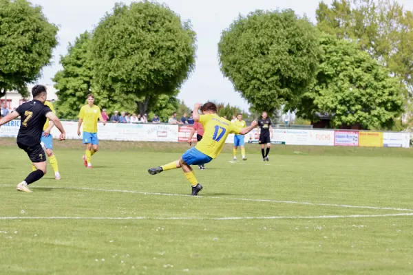 10.05.2025 VfB Gräfenhainichen vs. Bitterfeld-Wolfen II