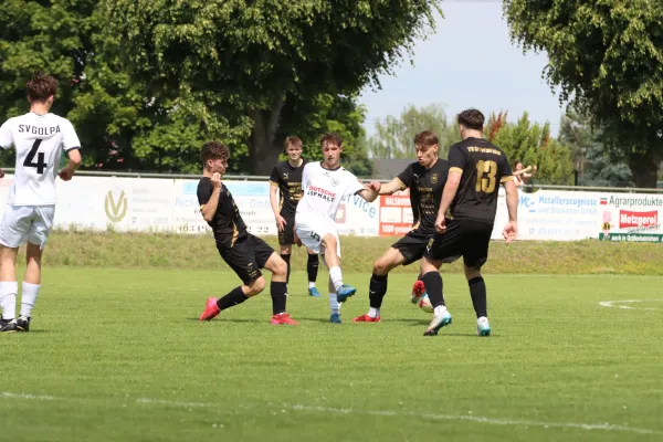 31.05.2025 VfB Gräfenhainichen vs. SV Golpa