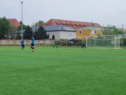 03.05.2025 TSV Rot- Weiß Zerbst vs. NSG Gräfenhainichen