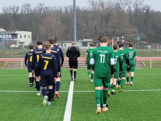 29.03.2025 Piesteritz vs. NSG Gräfenhainichen
