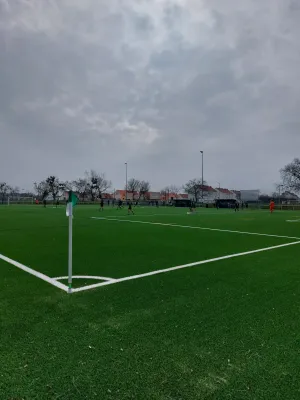 29.03.2025 Piesteritz vs. NSG Gräfenhainichen