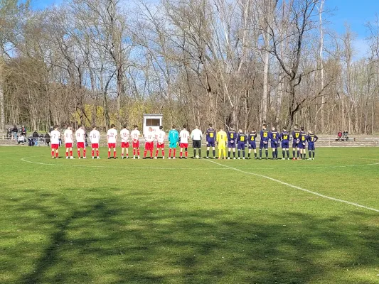 05.04.2025 Bernburg/Plötzkau vs. NSG Gräfenhainichen