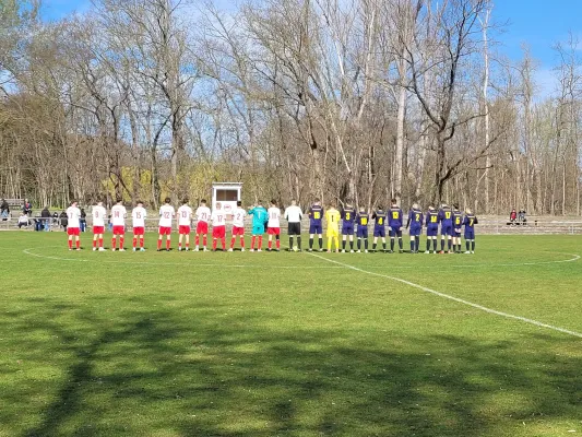 05.04.2025 Bernburg/Plötzkau vs. NSG Gräfenhainichen
