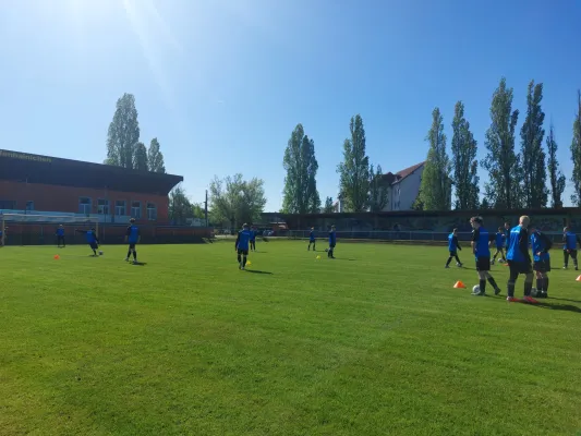 26.04.2025 NSG Gräfenhainichen vs. Bitterfeld-Wolfen