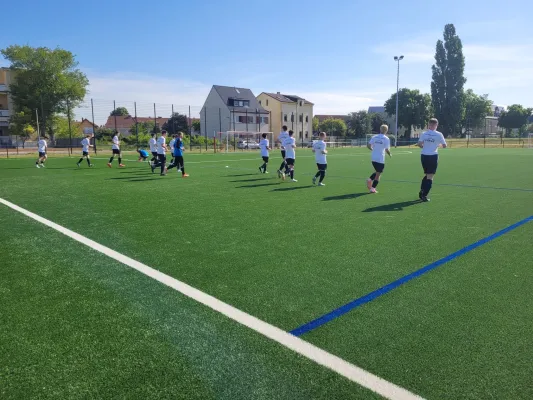 10.05.2025 NSG Lutherkicker vs. NSG Gräfenhainichen