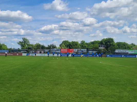 24.05.2025 NSG Dessau/Kochstedt vs. NSG Gräfenhainichen