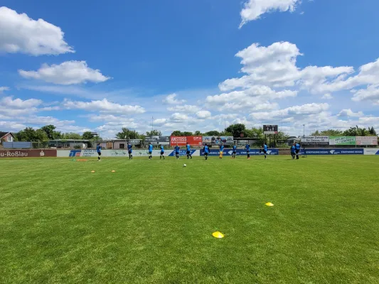 24.05.2025 NSG Dessau/Kochstedt vs. NSG Gräfenhainichen