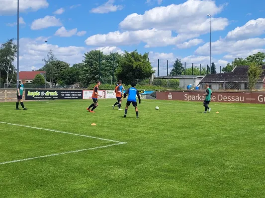 24.05.2025 NSG Dessau/Kochstedt vs. NSG Gräfenhainichen