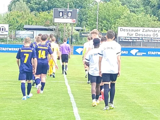 24.05.2025 NSG Dessau/Kochstedt vs. NSG Gräfenhainichen