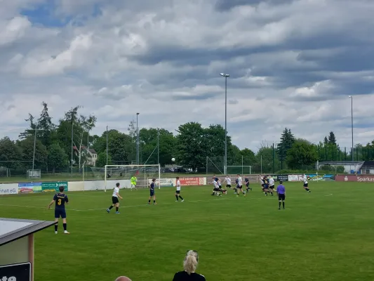24.05.2025 NSG Dessau/Kochstedt vs. NSG Gräfenhainichen