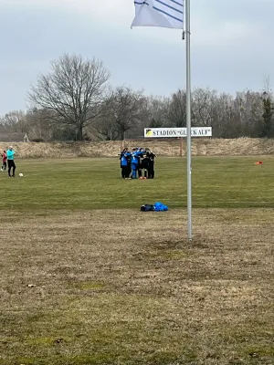15.03.2025 NSG Gräfenhainichen vs. SV Eintracht Elster