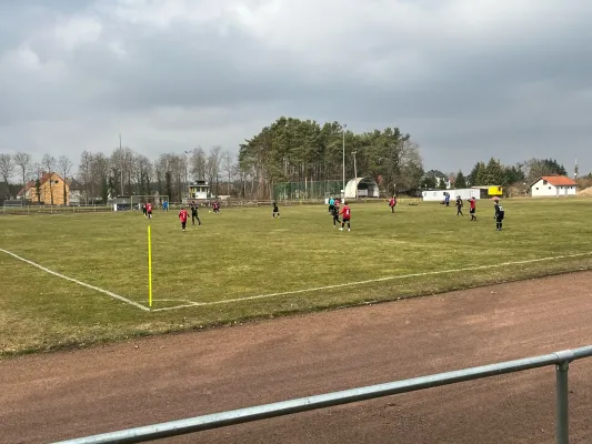 15.03.2025 NSG Gräfenhainichen vs. SV Eintracht Elster