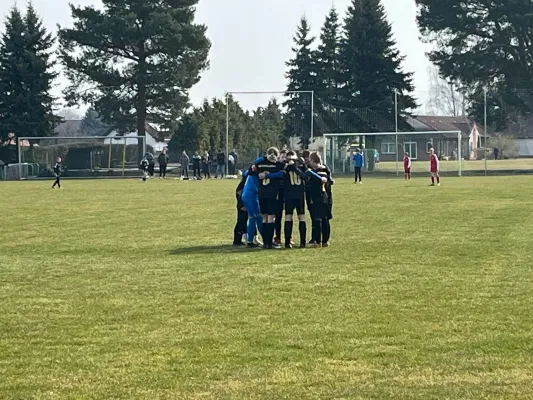 23.03.2025 Allemannia Jessen vs. NSG Gräfenhainichen