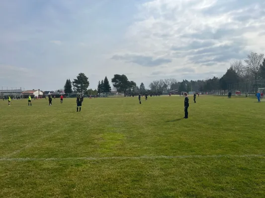 23.03.2025 Allemannia Jessen vs. NSG Gräfenhainichen