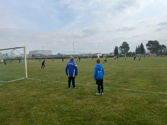 23.03.2025 Allemannia Jessen vs. NSG Gräfenhainichen