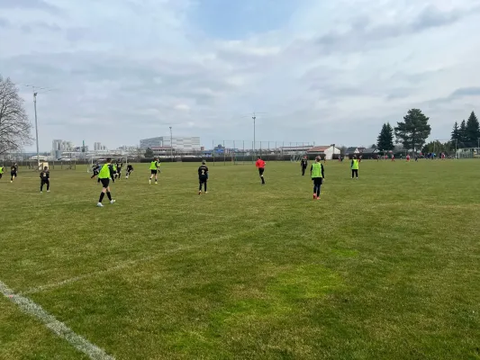 23.03.2025 Allemannia Jessen vs. NSG Gräfenhainichen