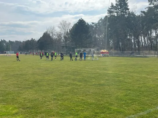 23.03.2025 Allemannia Jessen vs. NSG Gräfenhainichen