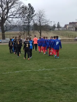 29.03.2025 NSG Gräfenhainichen vs. SV Blau Rot Coswig