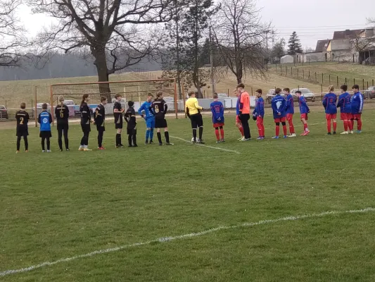 29.03.2025 NSG Gräfenhainichen vs. SV Blau Rot Coswig
