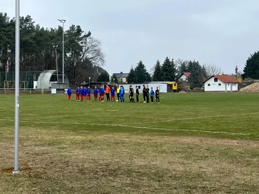 29.03.2025 NSG Gräfenhainichen vs. SV Blau Rot Coswig