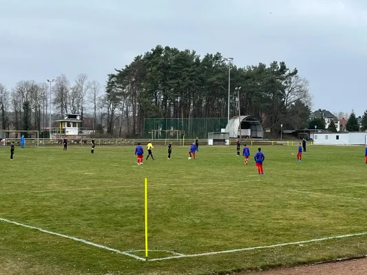 29.03.2025 NSG Gräfenhainichen vs. SV Blau Rot Coswig
