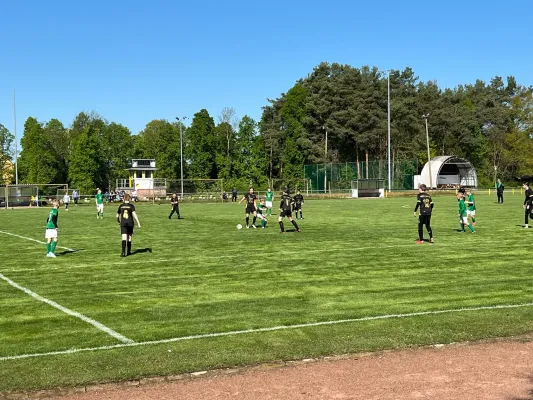 26.04.2025 NSG Gräfenhainichen vs. Piesteritz II