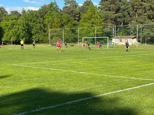 09.05.2025 FSV Bad Schmiedeberg vs. NSG Gräfenhainichen