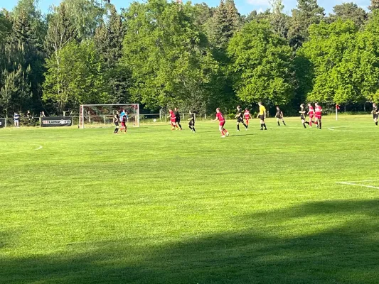 09.05.2025 FSV Bad Schmiedeberg vs. NSG Gräfenhainichen