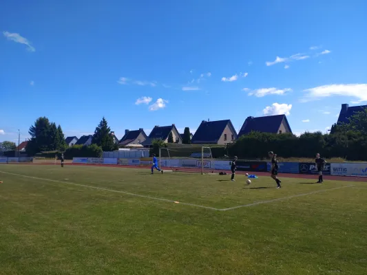 17.05.2025 SV Eintracht Elster vs. NSG Gräfenhainichen