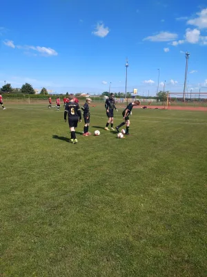17.05.2025 SV Eintracht Elster vs. NSG Gräfenhainichen