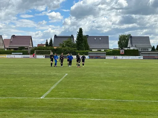 17.05.2025 SV Eintracht Elster vs. NSG Gräfenhainichen